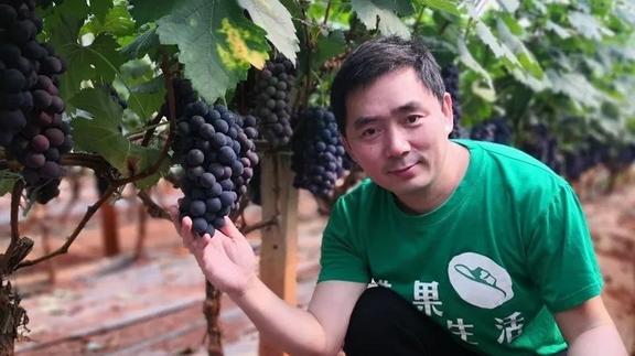 案例 | 社群「生鲜店」横扫小区、写字楼，复购率达80%